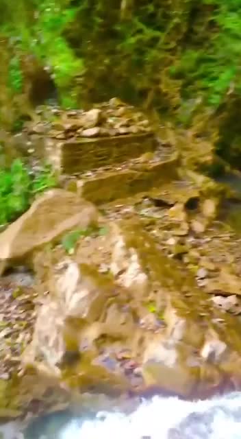 @पहाड़ी_ परवीन_07