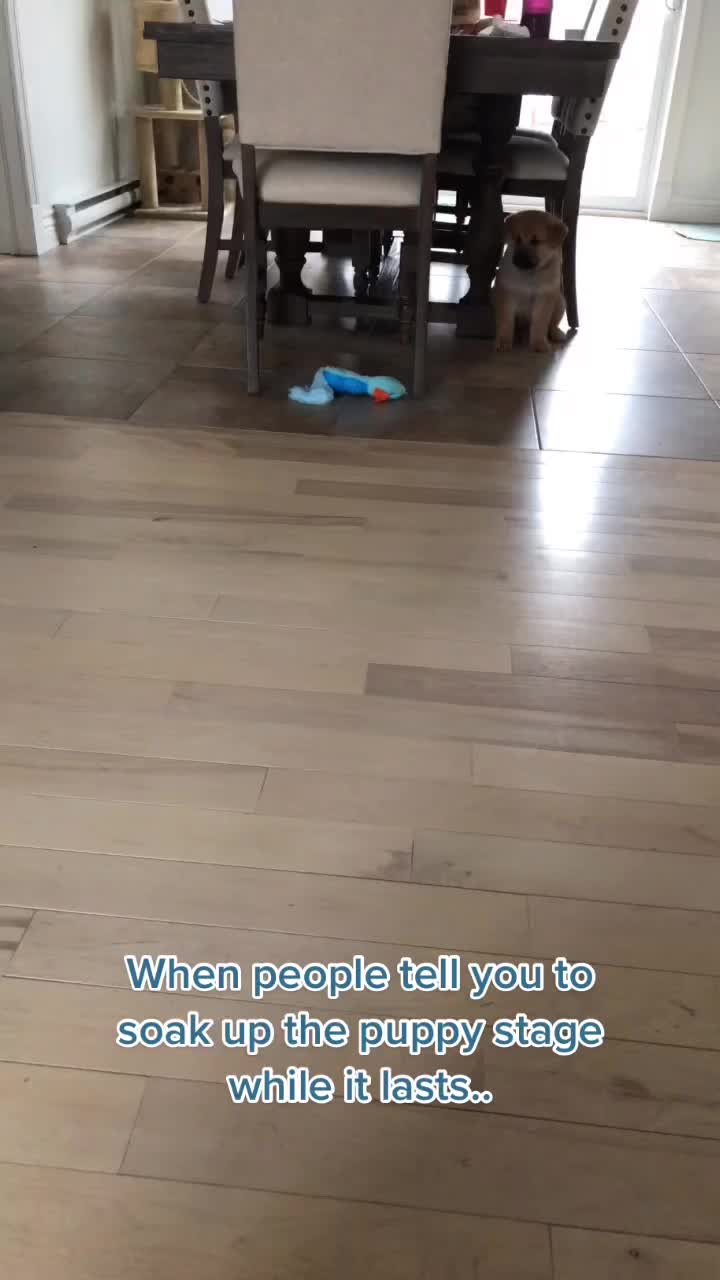 @Jessica