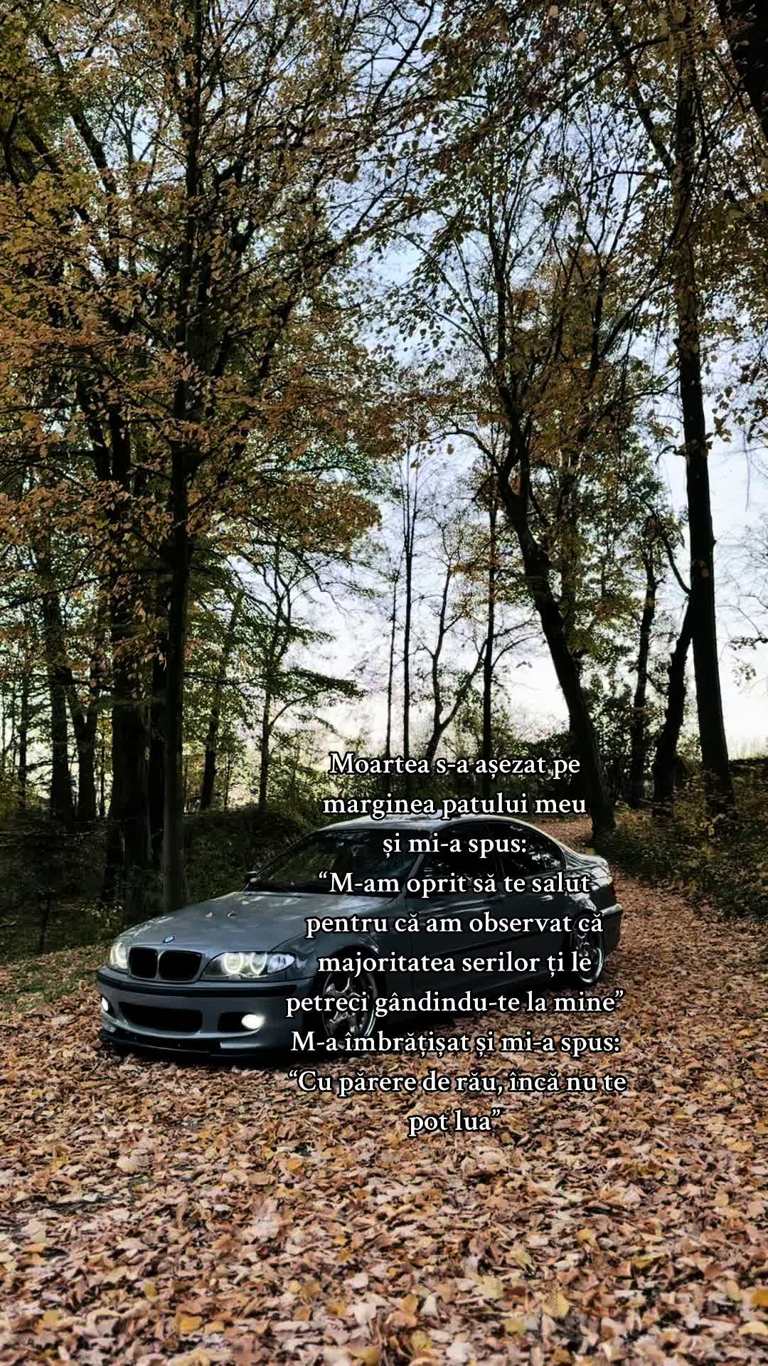 @Alexandru Florian