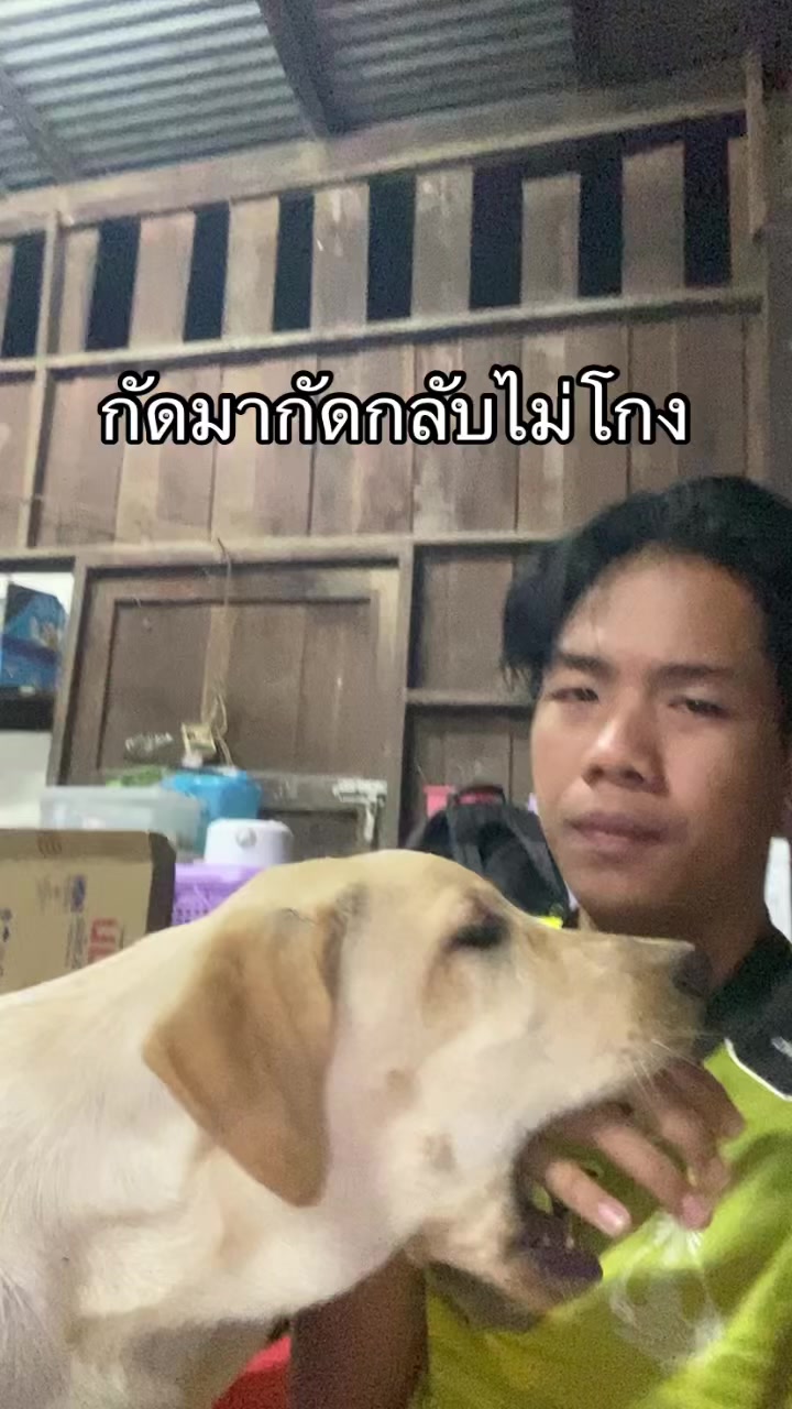 @กฤษณะ