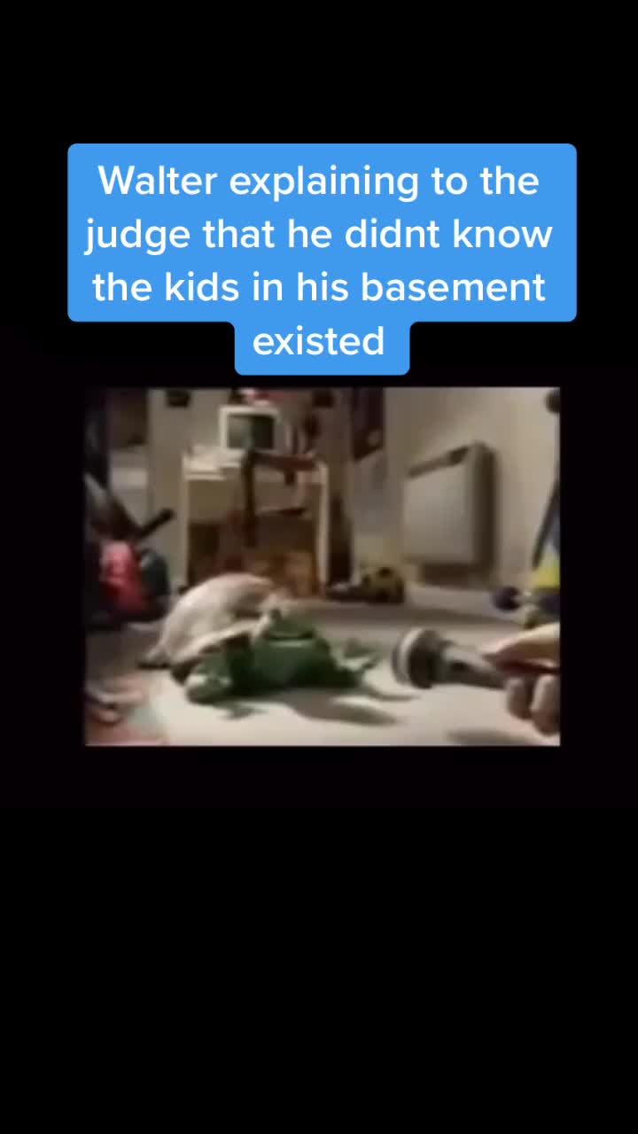 @WalterDog