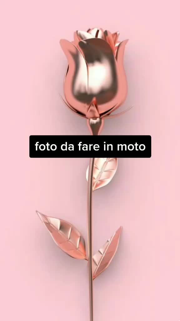 @daniela