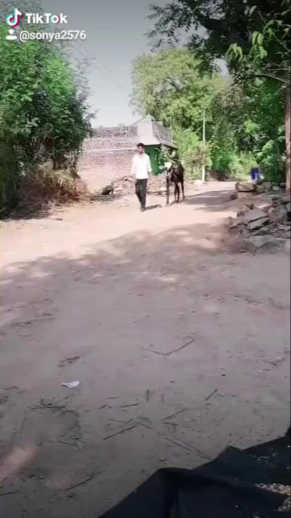 @sonya2576
