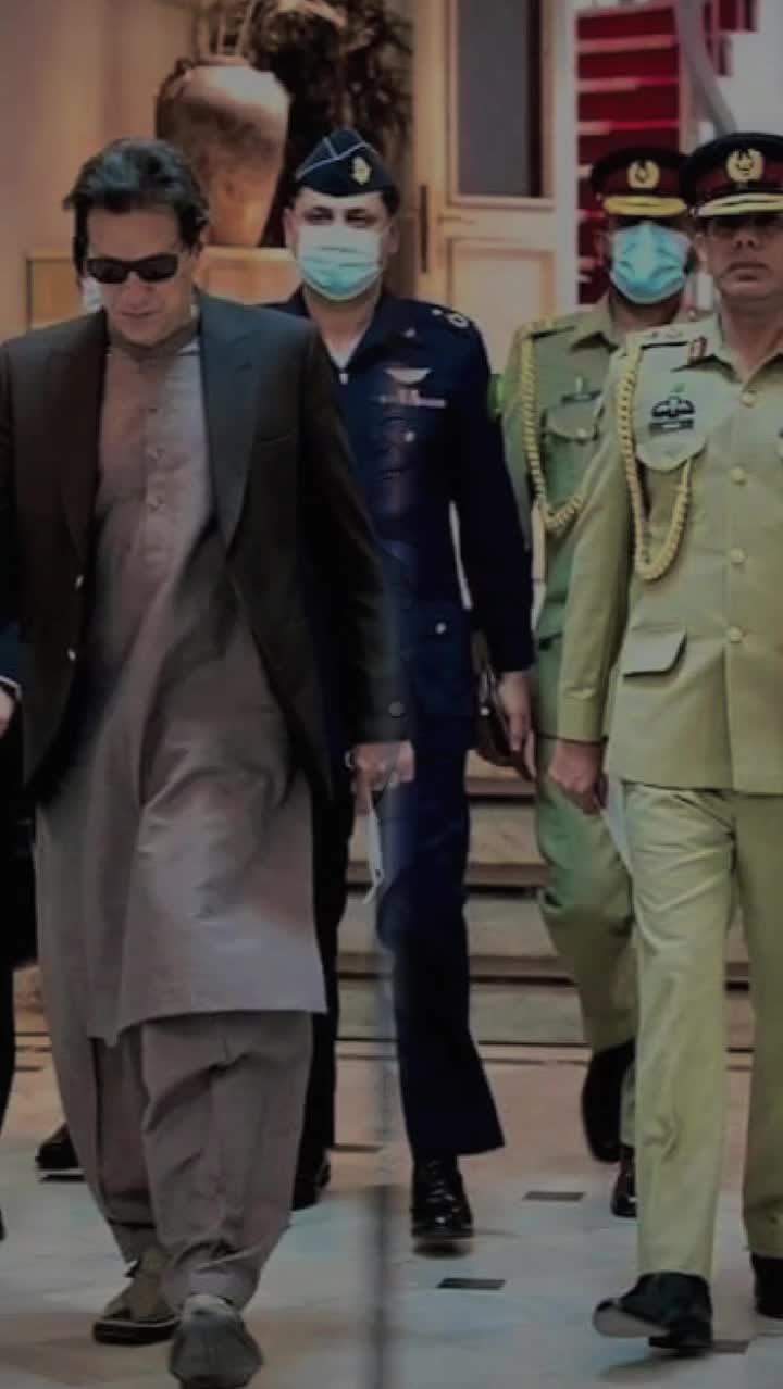 @Cornered Tigers