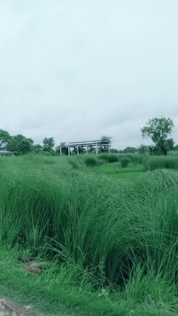 @kingvishal 😎😍😍