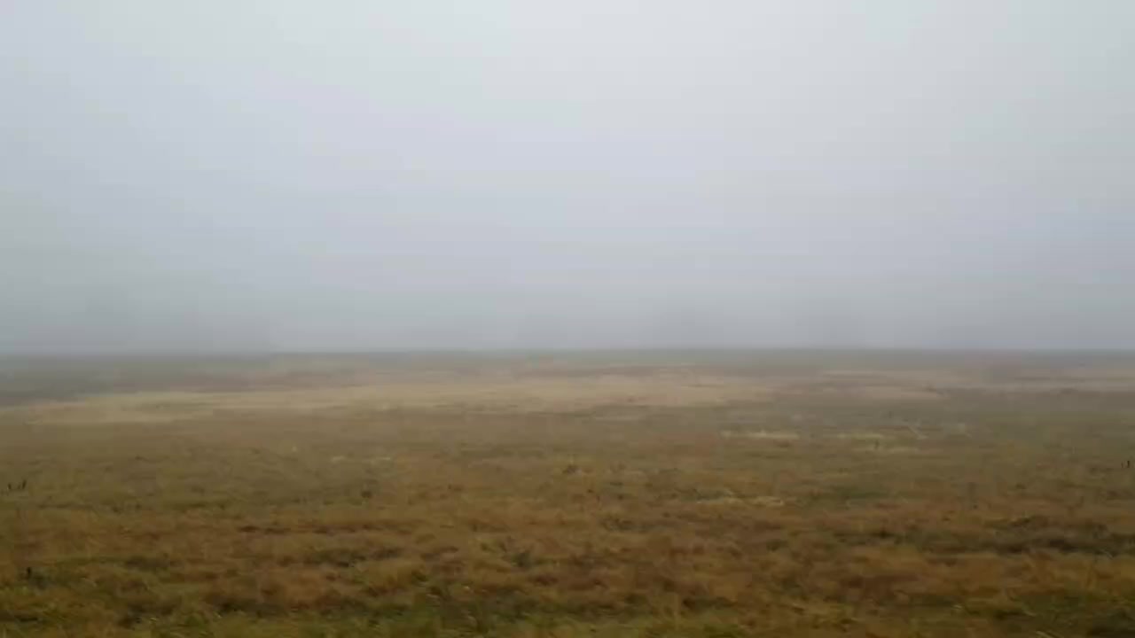 @canislupus13a