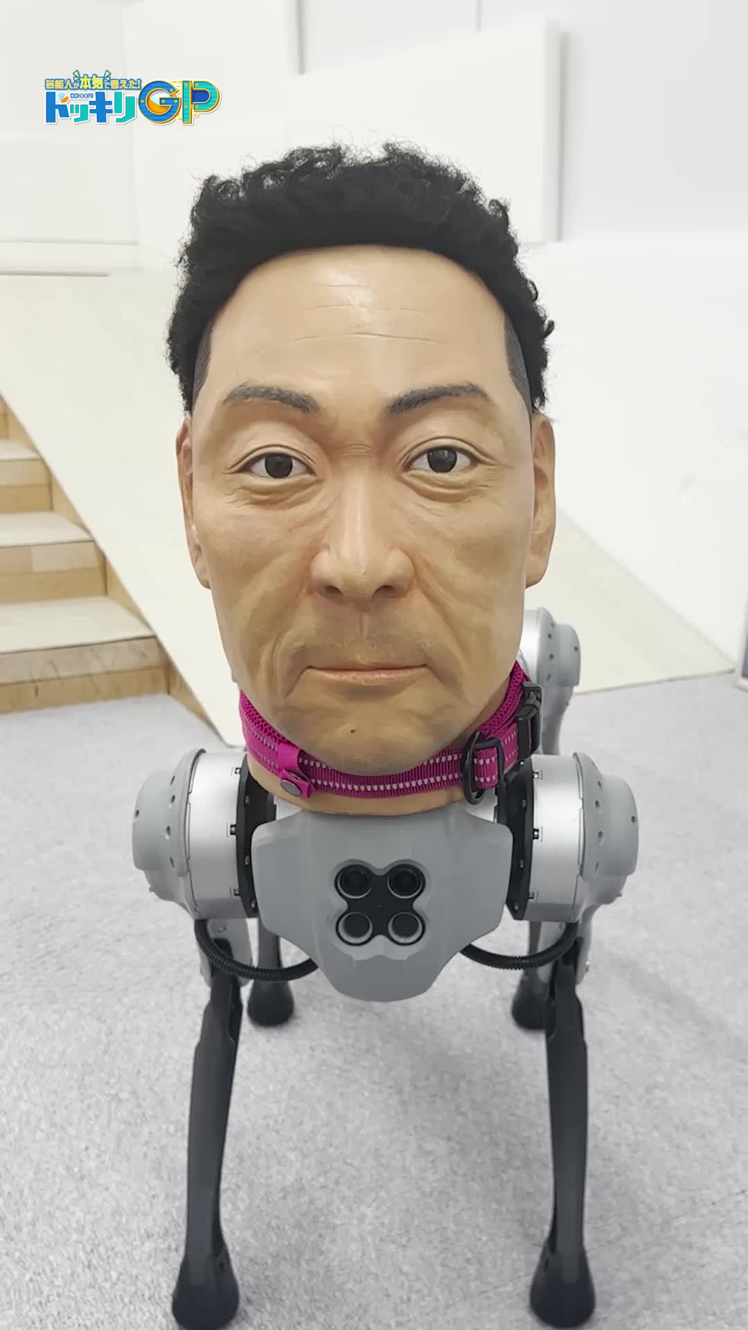 @ドッキリGPスタッフ