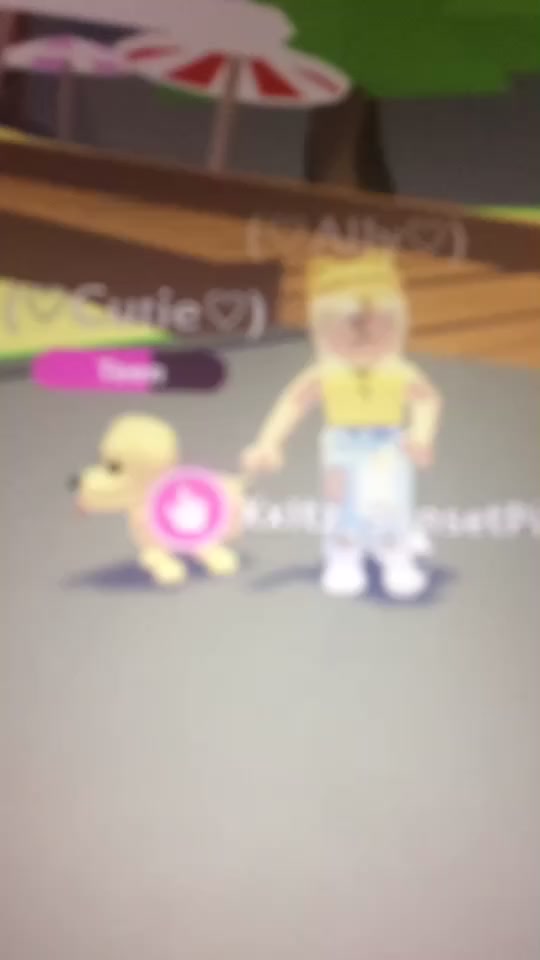 @Shop, squishy,Roblox
