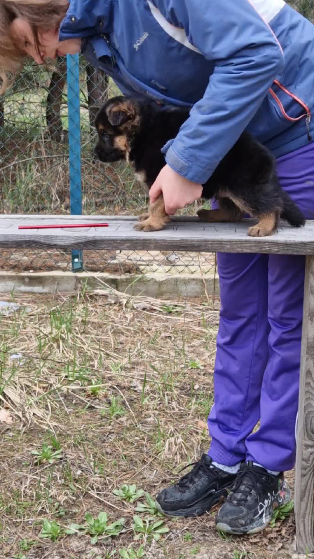 @RUA ATHA KENNEL