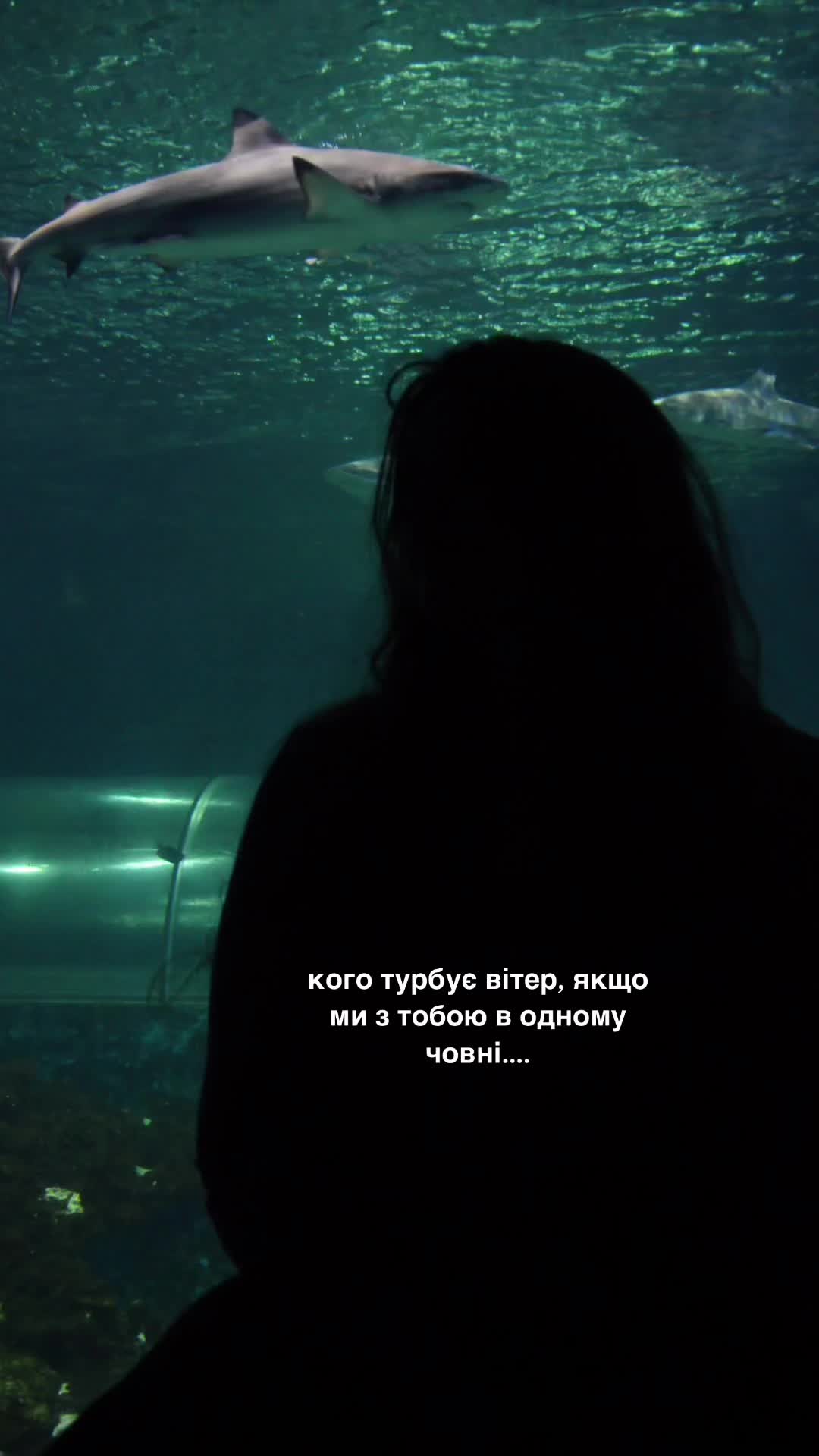 @шотя