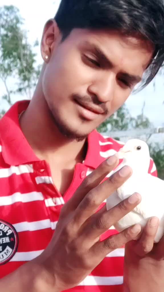 @dancershashikumar