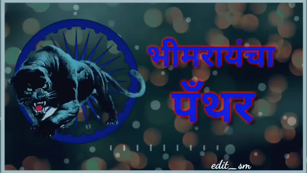 @jaybhimgyus