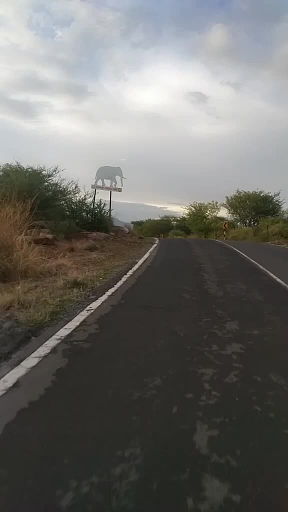 @Goki Gokul