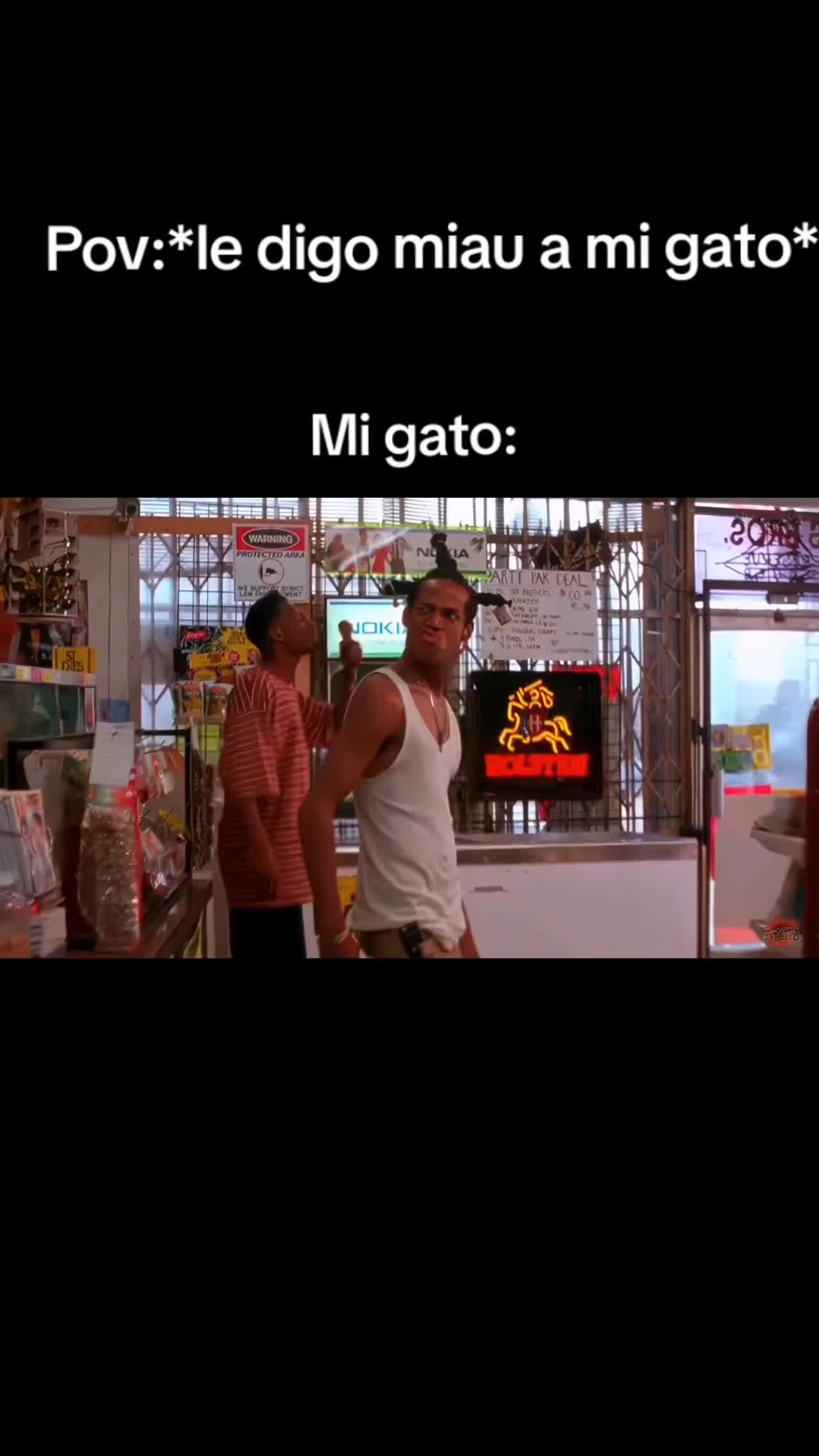 @quesidogo44