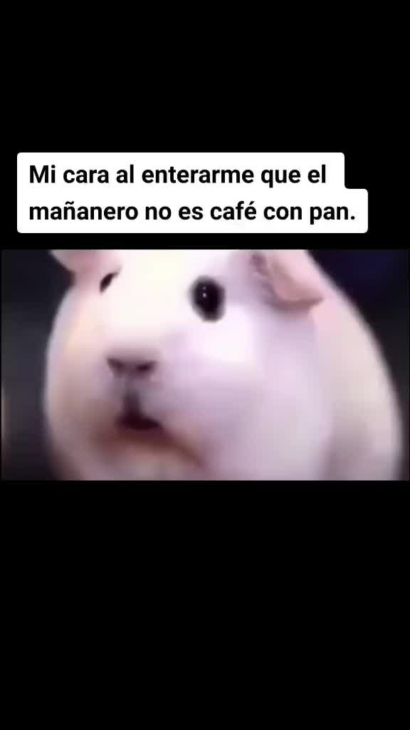 @Andres Vasconez