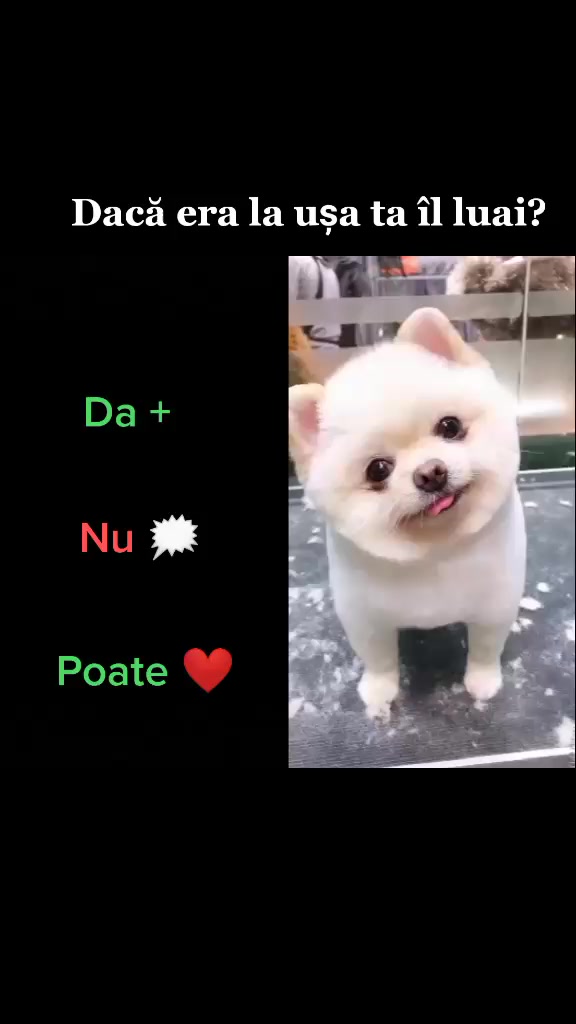 @💙Darii 💙