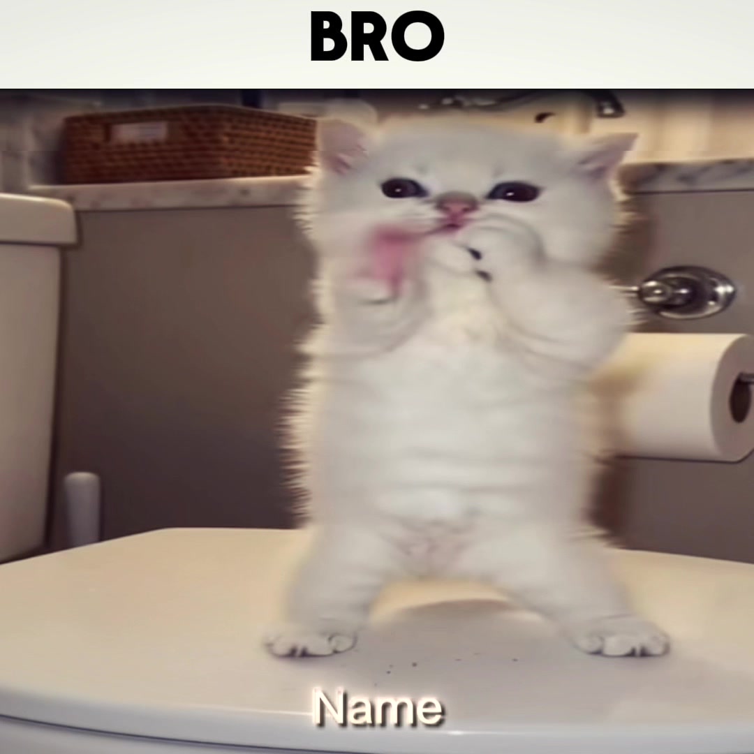 @WilliamR är gay