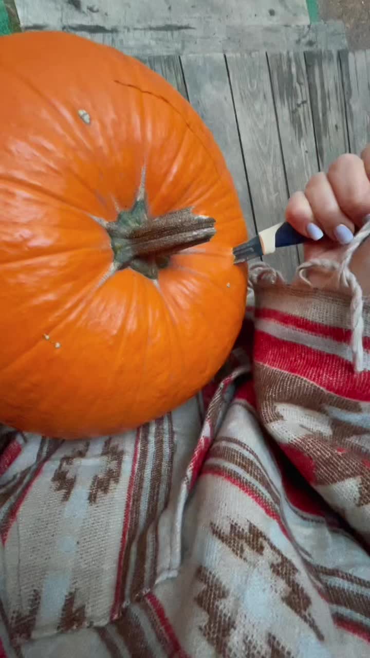 @sashaantsupich