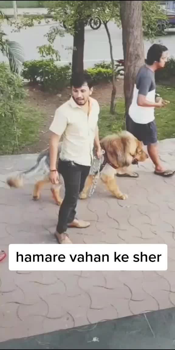@SAHIL KHAN