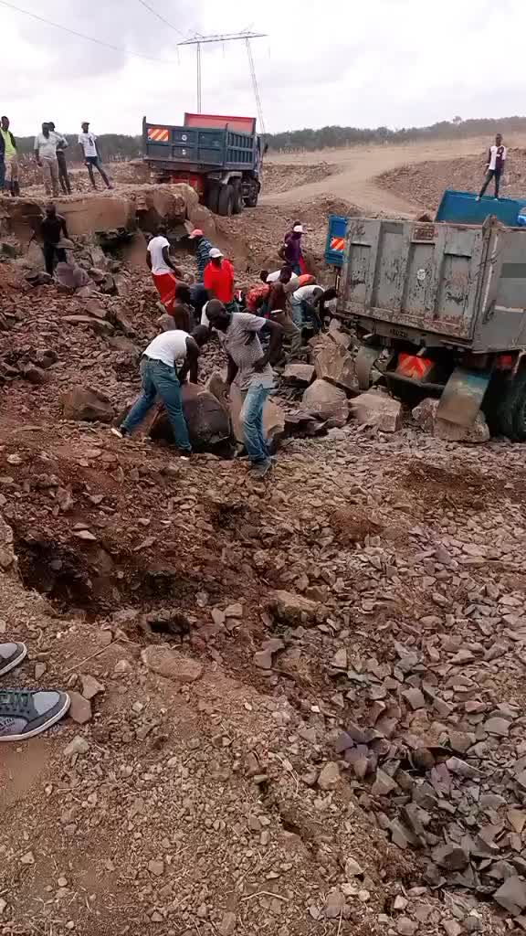 @davie_sitemovers