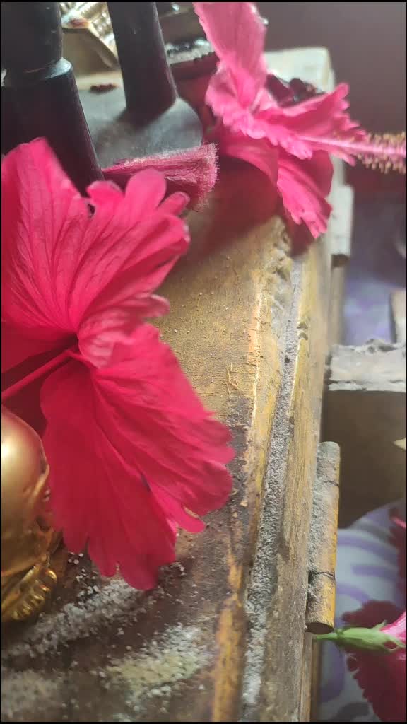 @preethijayachandran