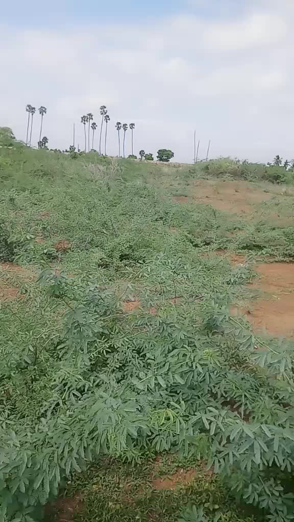 @Dinesh Dinesh