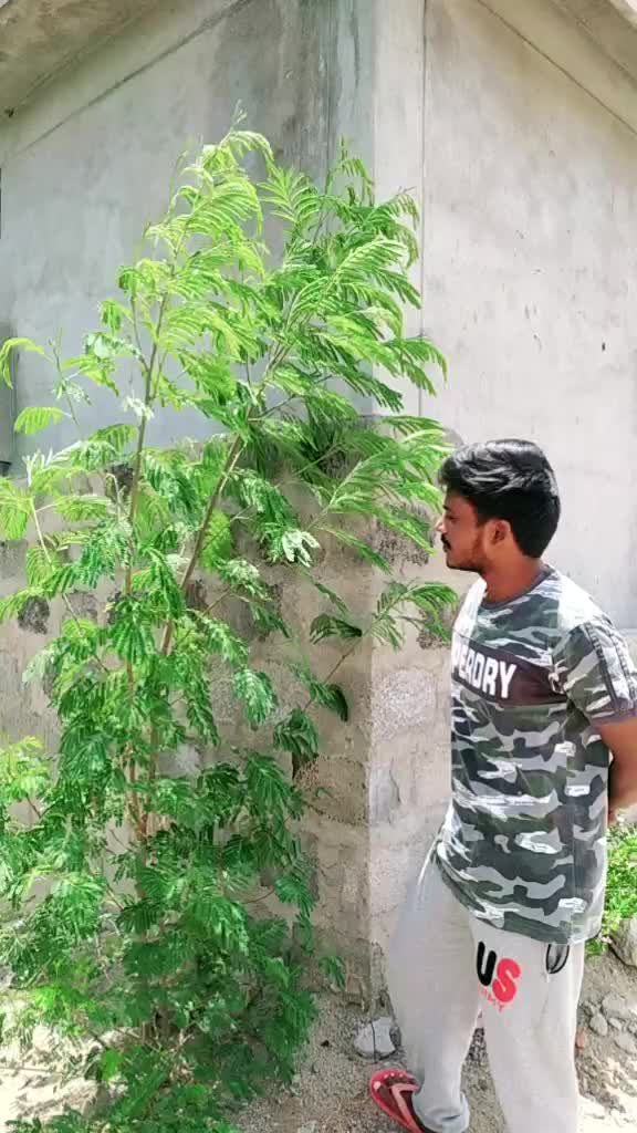 @Pavan