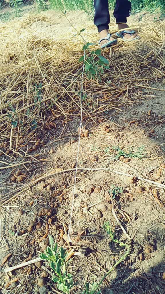 @Nagendra Borana