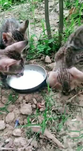 @mr_mrs_arora90