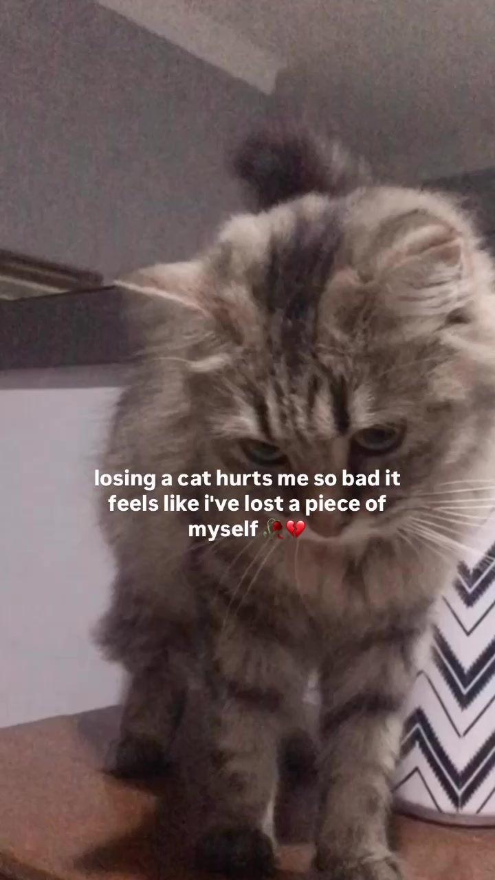 @nini