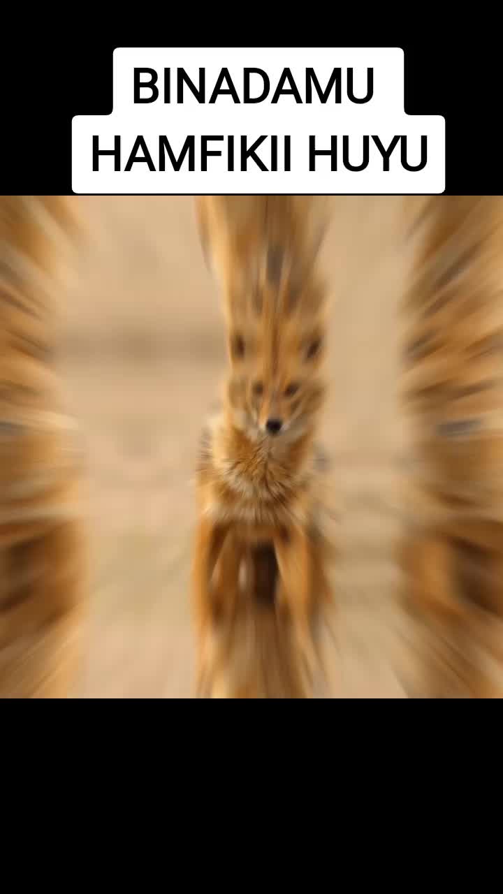 @maxmondu