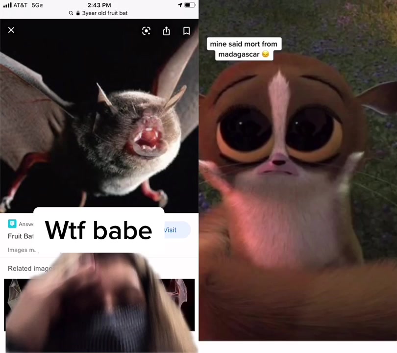 @Bebe01
