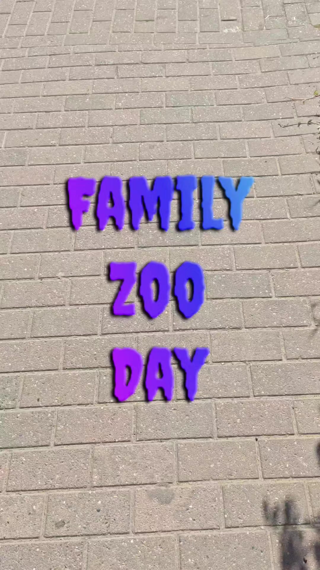 @Zoe 😸