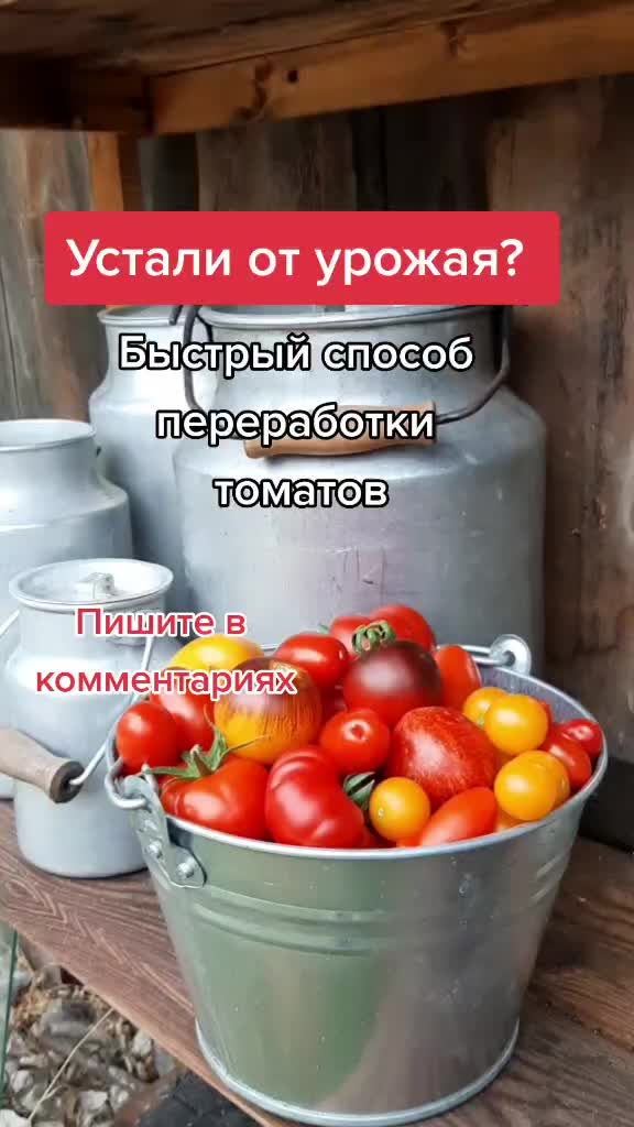 @Дача мечты