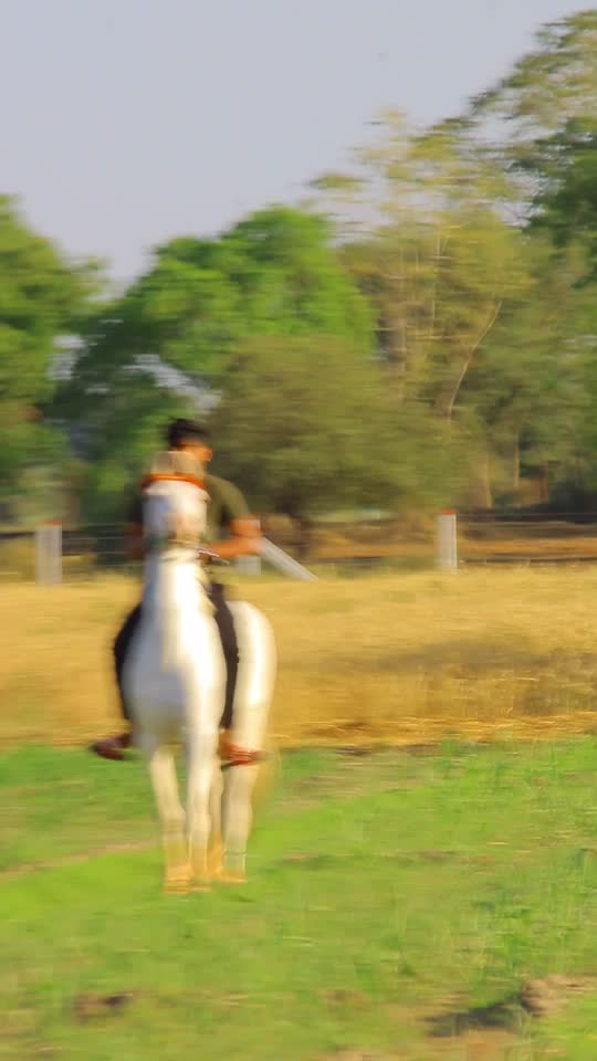 @Yuvibha Horse lover