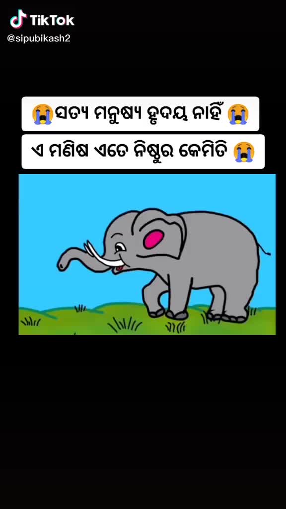 @Playboy CHINTU
