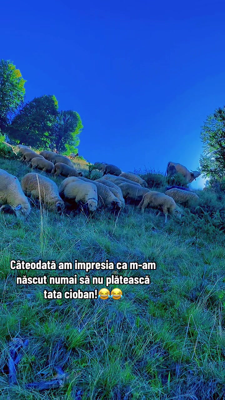 @𝘼𝙡𝙚𝙚𝙚 𝘽𝙤𝙧𝙞𝙘𝙚𝙖𝙣