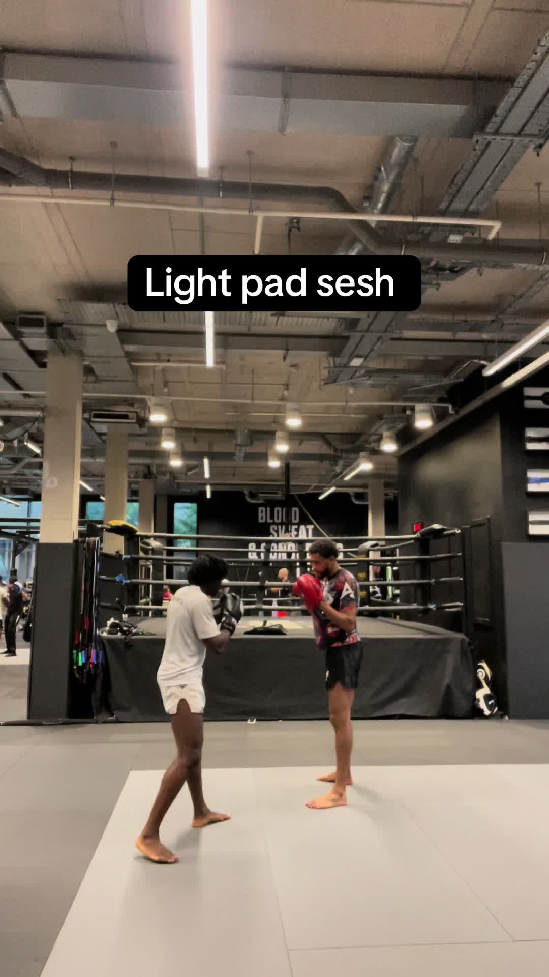@Bfights