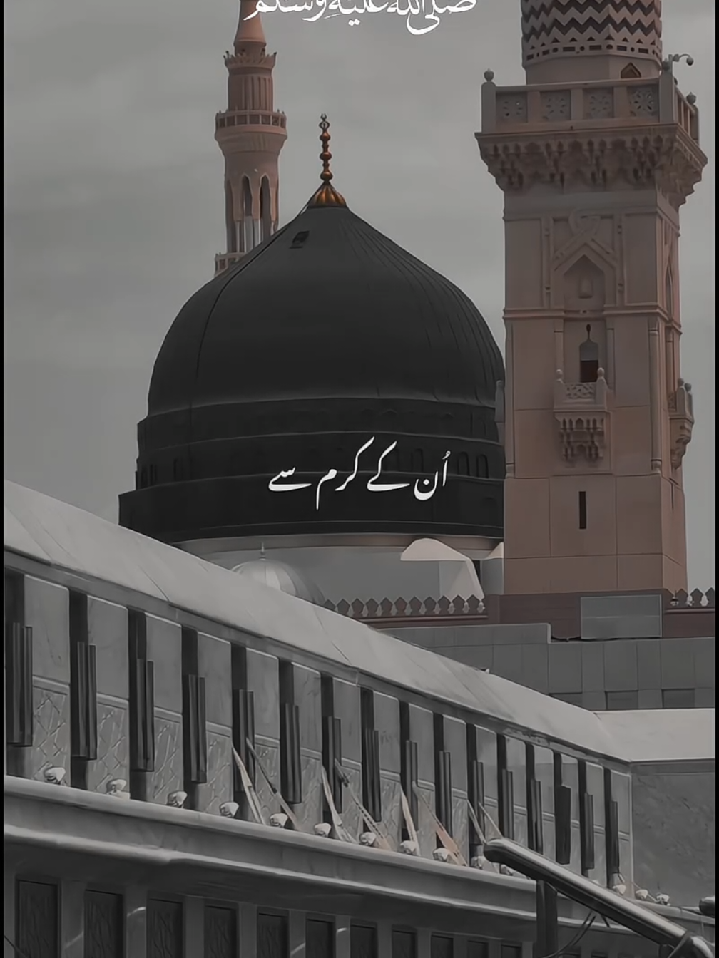 @✨𝙝𝙖𝙢𝙯𝙞𝙞✨