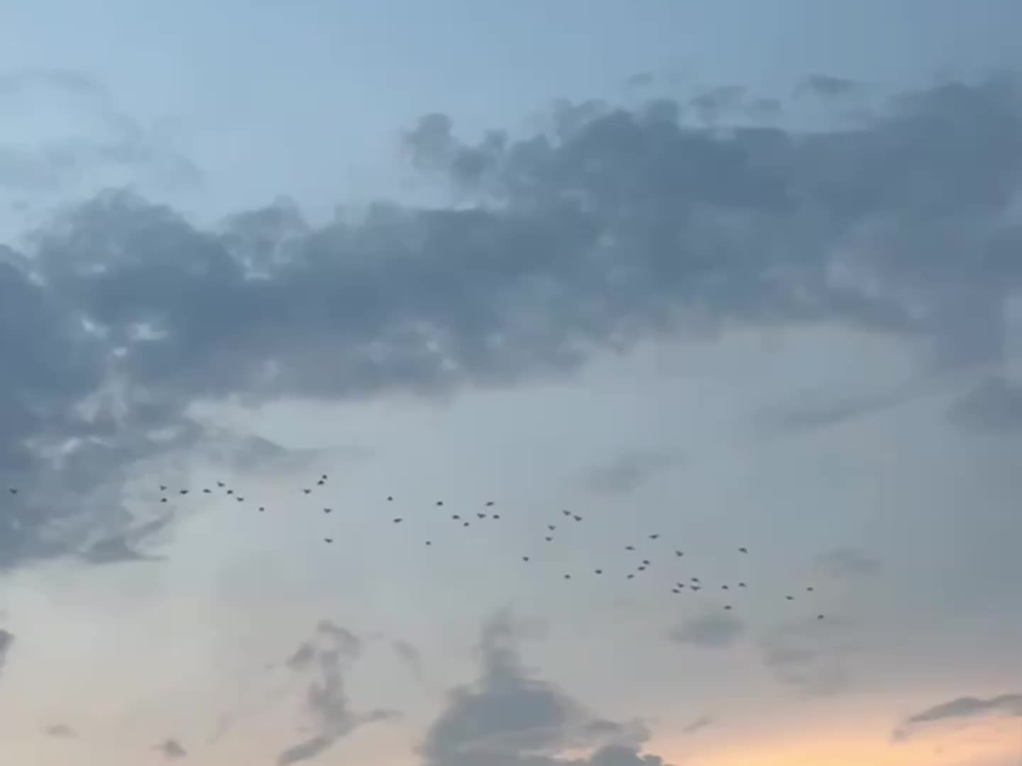 @ʟᴏꜰɪ ᴅʀᴇᴀᴍꜱ
