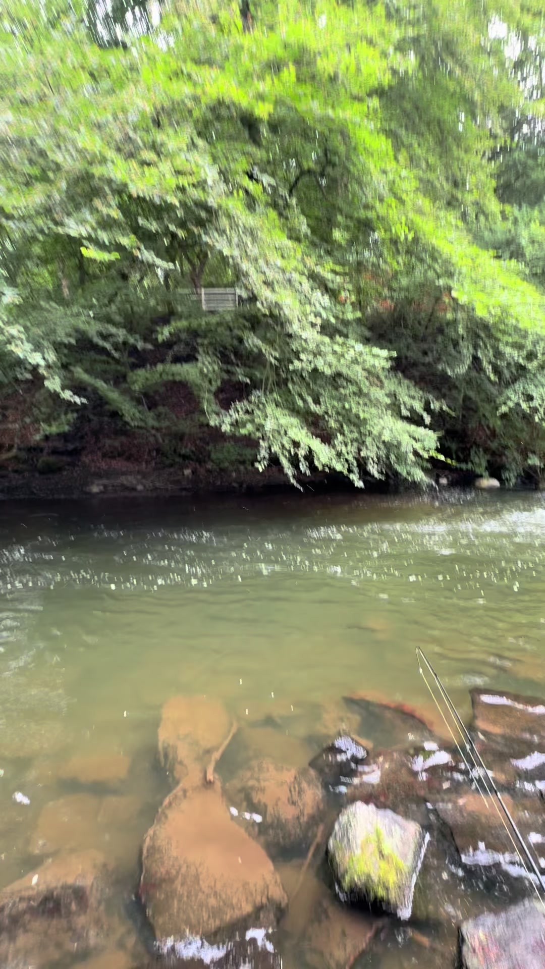 @Alba Trout 🏴