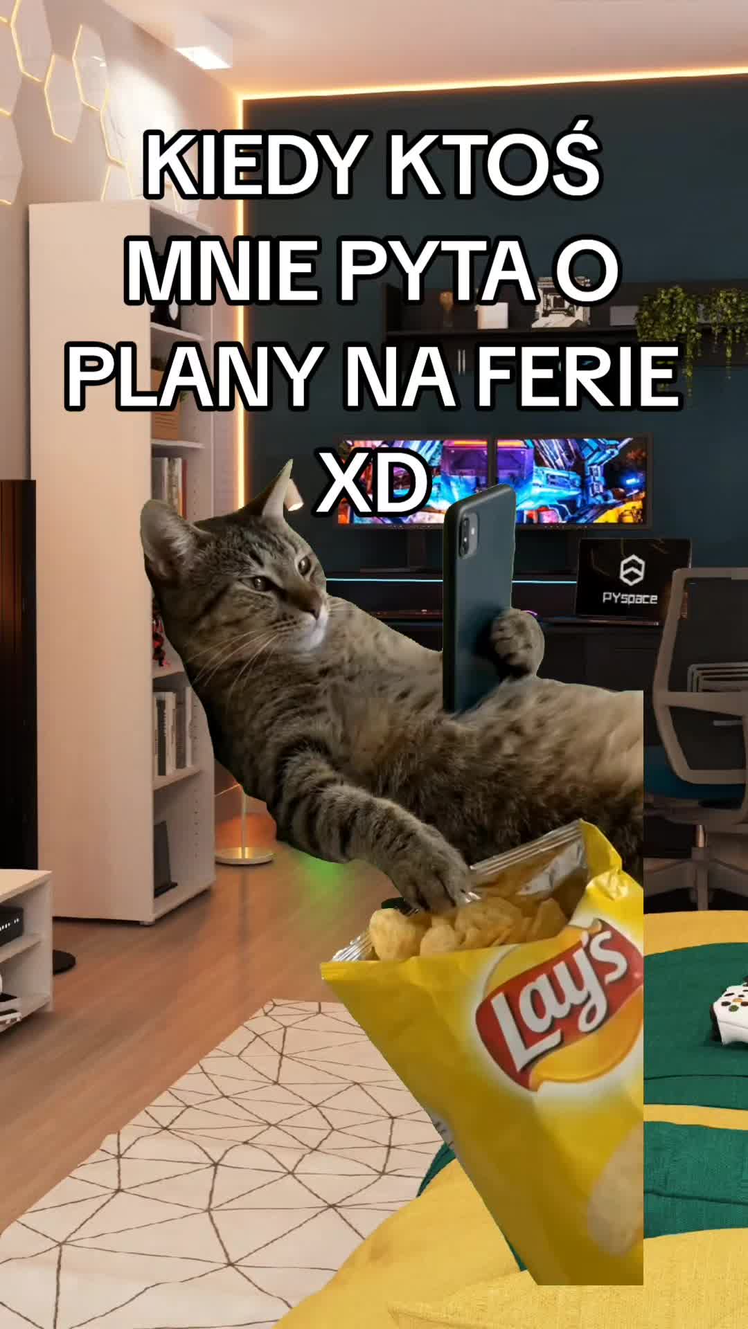 @KotWkapciachh