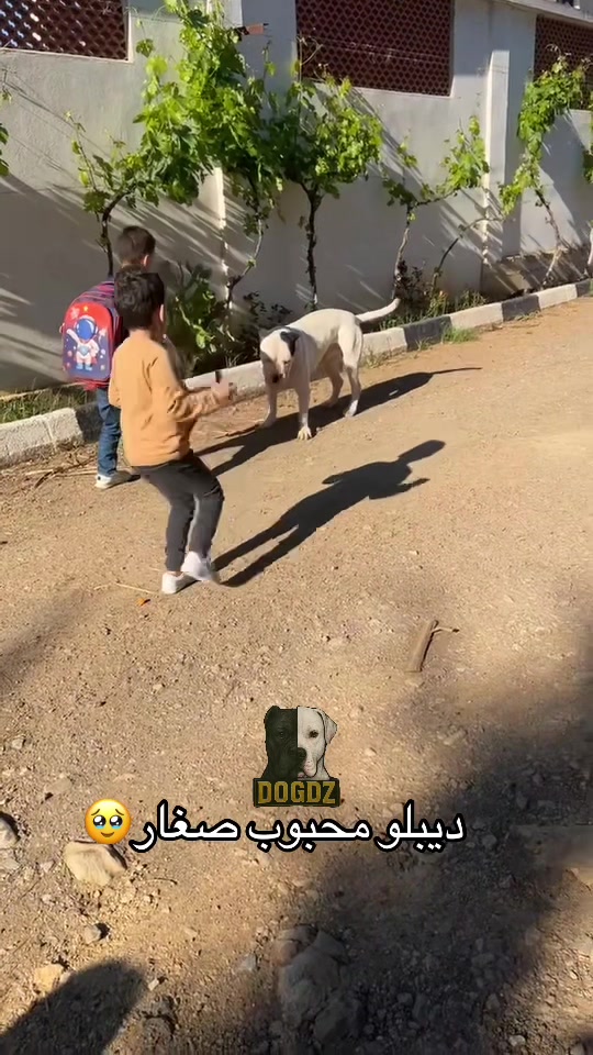@dogdz🏴☠️🇩🇿