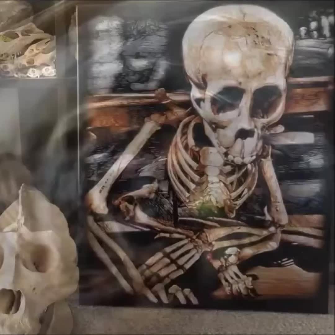@Misterfeeneyart