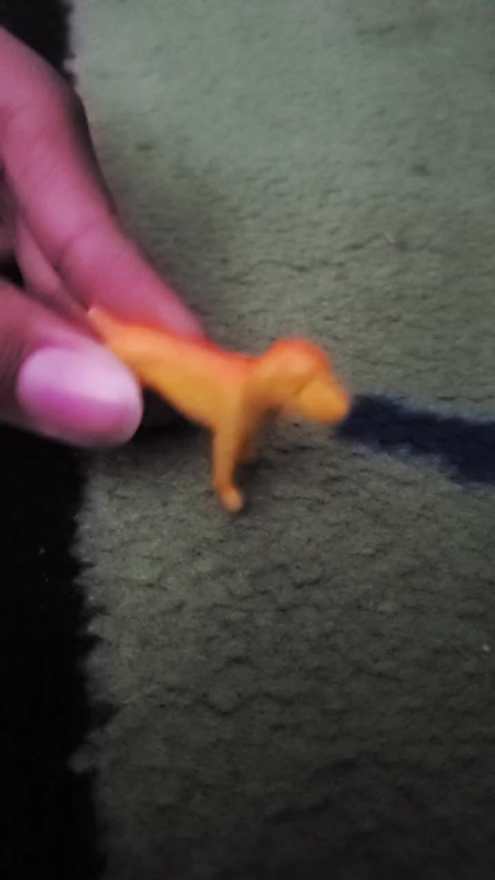 @Toy Tiktok