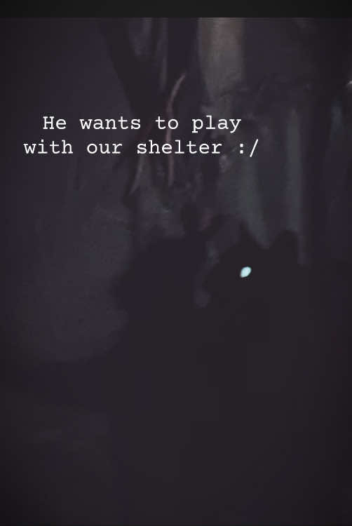 @Fae