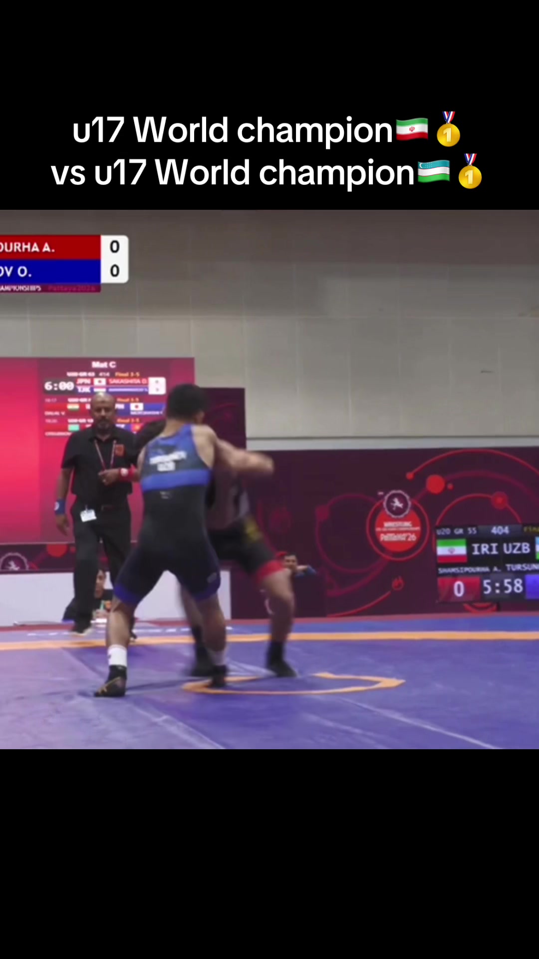 @wrest_fights