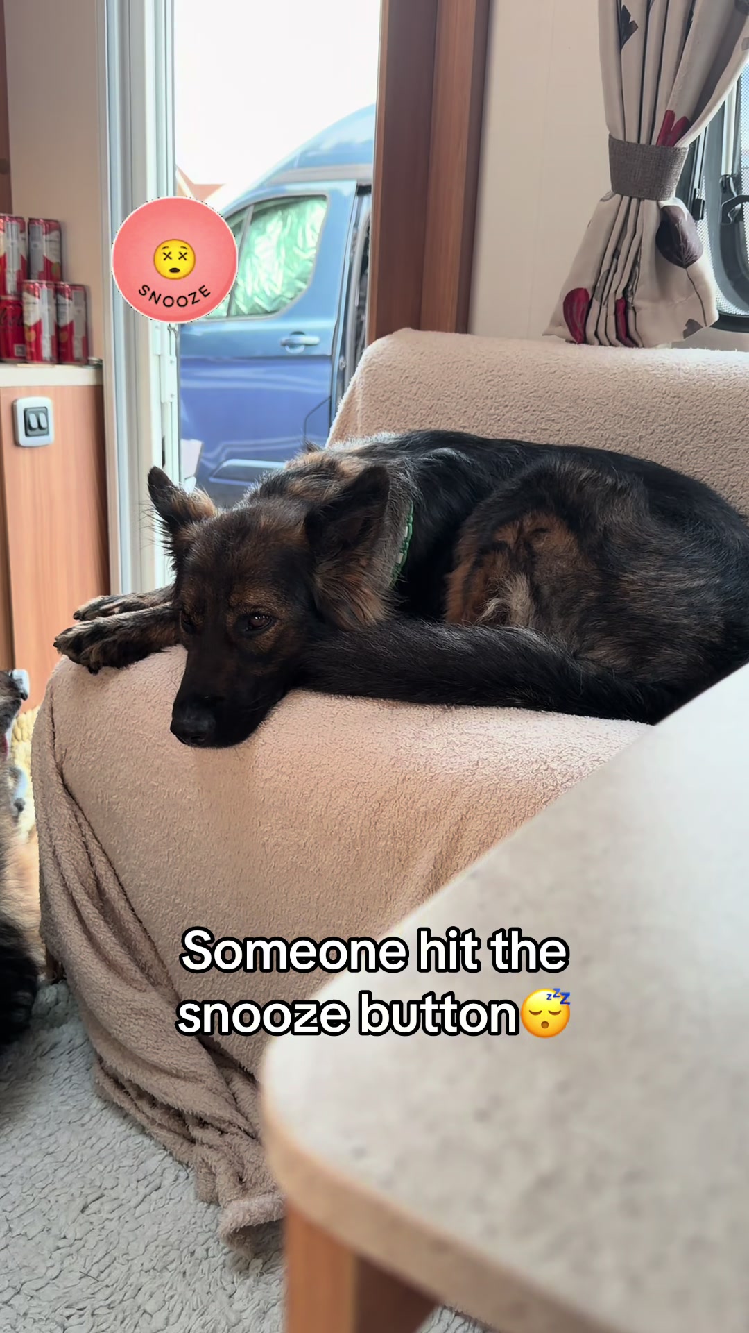 @TheGSDhubwithjennygould