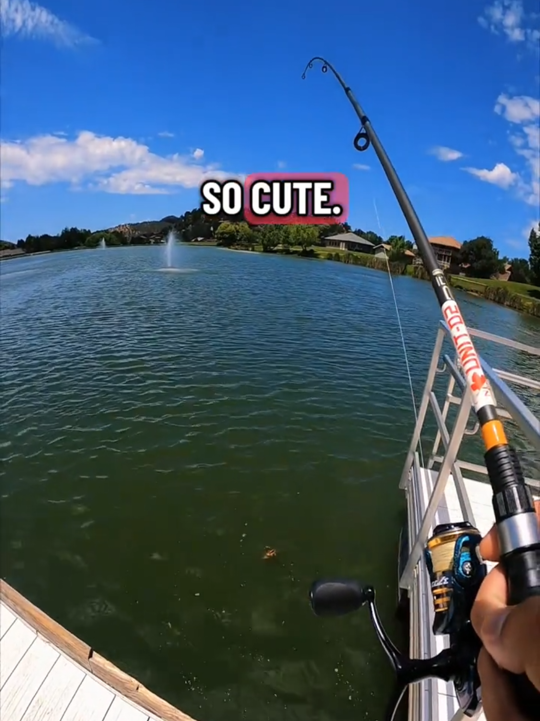 @HooksetAZ