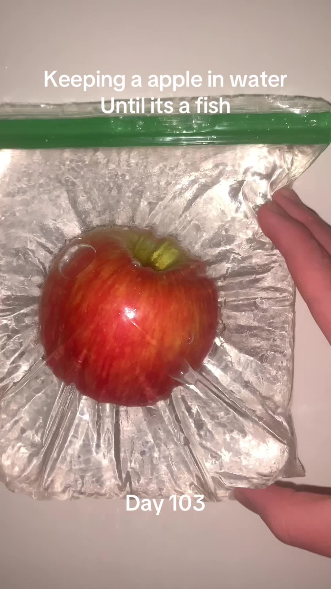 @ve0ck